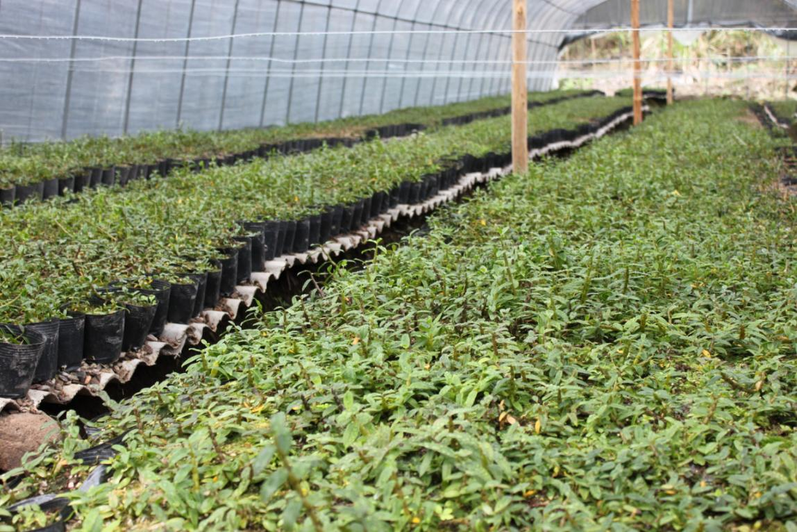 ng电子游戏·(中国集团)官方网站