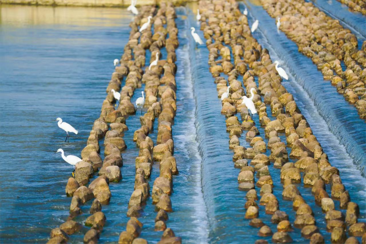 ng电子游戏·(中国集团)官方网站