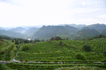 ng电子游戏·(中国集团)官方网站