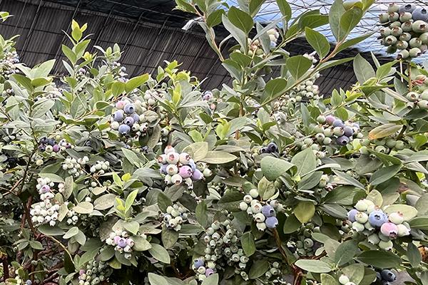 ng电子游戏·(中国集团)官方网站